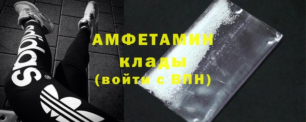 МДПВ Бородино