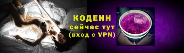МДПВ Бородино