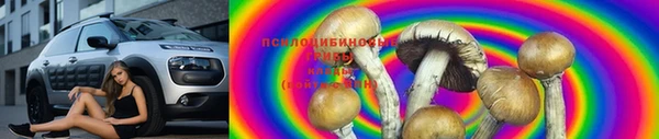 спиды Бугульма