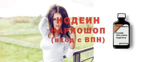 МДПВ Бородино