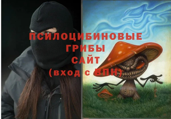 МДПВ Бородино