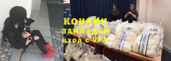 МДПВ Бородино