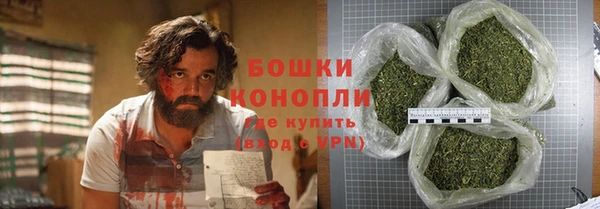 МДПВ Бородино