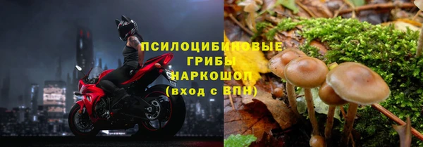 спиды Бугульма