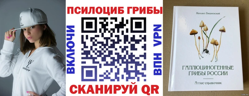 Псилоцибиновые грибы мухоморы  площадка официальный сайт  Верхний Тагил 